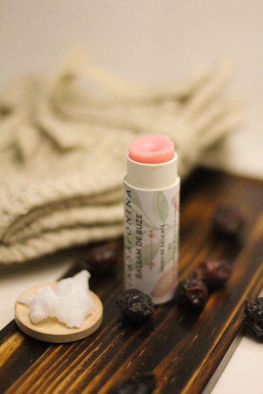 Balsam de buze cu măceșe și cocos